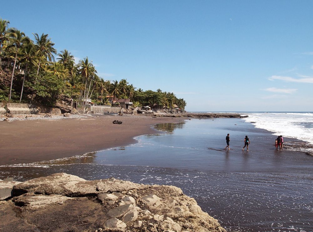 Palm-lined black-sand beach at El Zonte, known as Bitcoin Beach